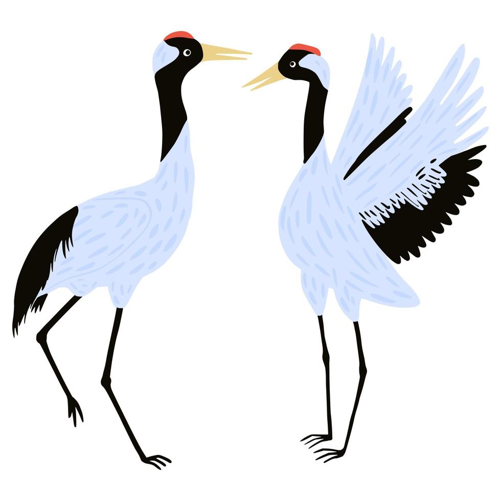 set kranen vogels geïsoleerd op een witte achtergrond. mooie vogels grijze kleur van aziatische cultuur staand en dansend ontwerpelement in vlakke stijl. vector