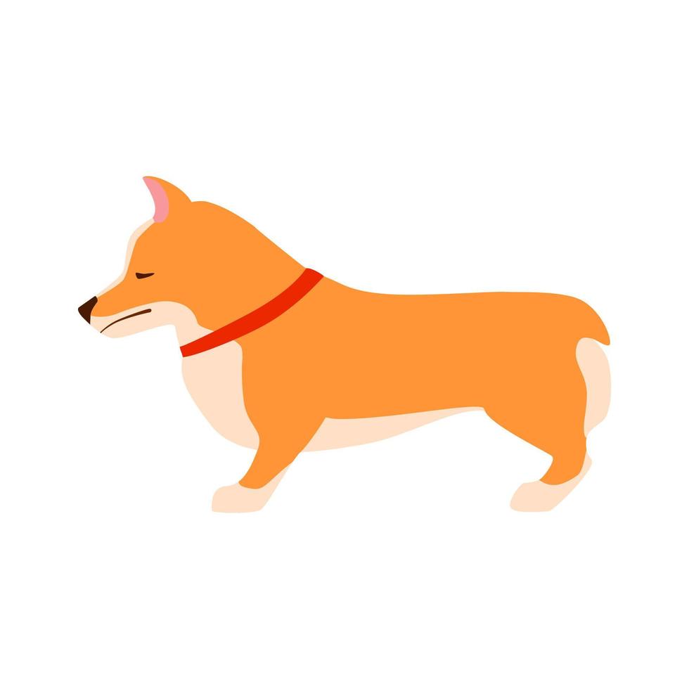 trieste hond. welse corgi. vlakke afbeelding vector. vector