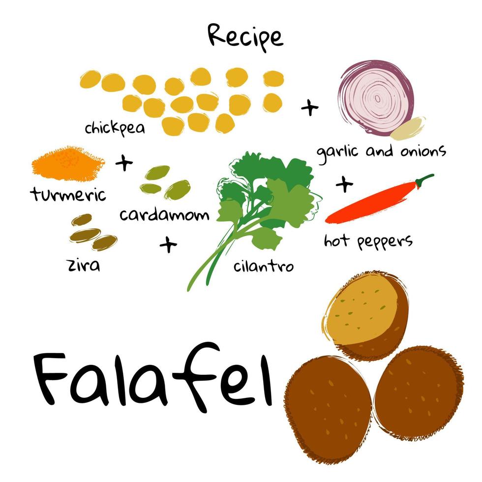 vectorillustratie traditionele Arabische en Joodse gerechten falafel en ingrediënten op een witte achtergrond. vector