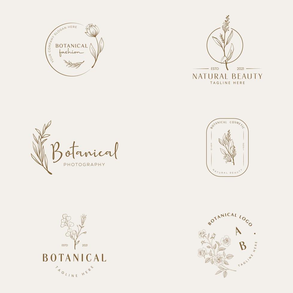 botanische bloemen element hand getekende logo met wilde bloemen en bladeren. logo voor spa en schoonheidssalon, boetiek, biologische winkel, bruiloft, floral designer, interieur, fotografie, cosmetica. vector