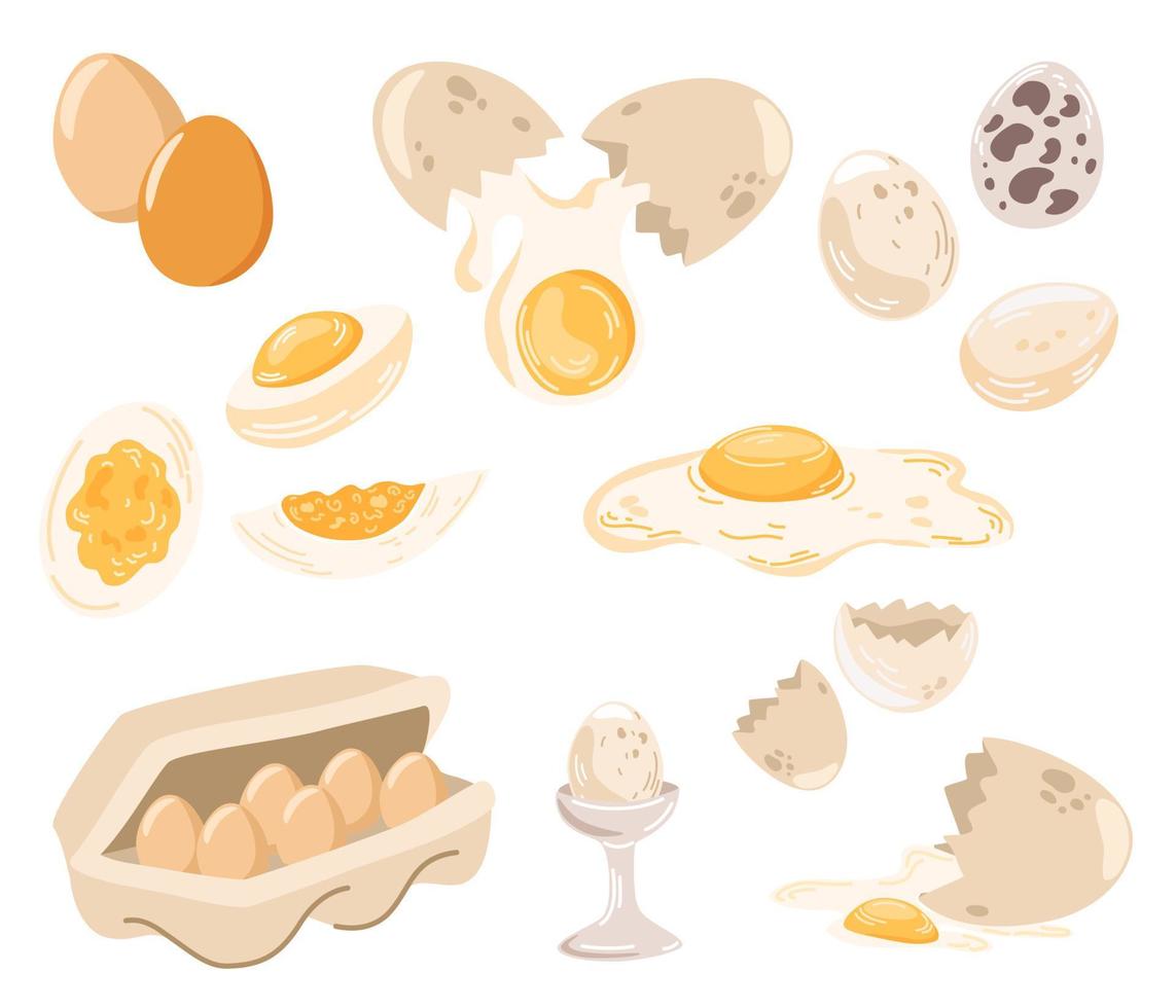 eieren instellen. verse en gekookte eieren. gebroken met een gebarsten eierschaal, in een kartonnen doos en een half ei. biologisch landbouwproduct. een culinair ingrediënt voor het ontbijt. vector hand tekenen illustratie