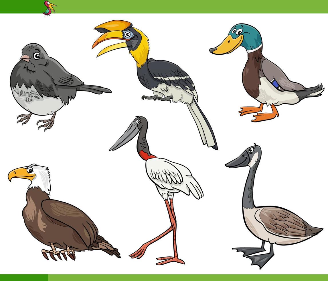 grappige cartoon vogels soorten dierlijke karakters set vector
