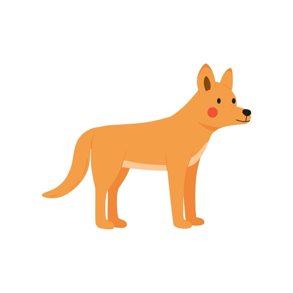 dingo hond vectorillustratie staande op een witte achtergrond vector
