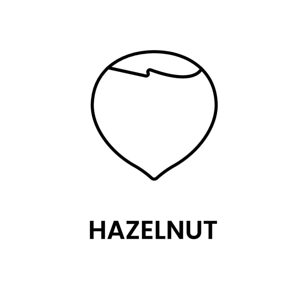 hazelnoot overzicht logo pictogram op witte achtergrond vector