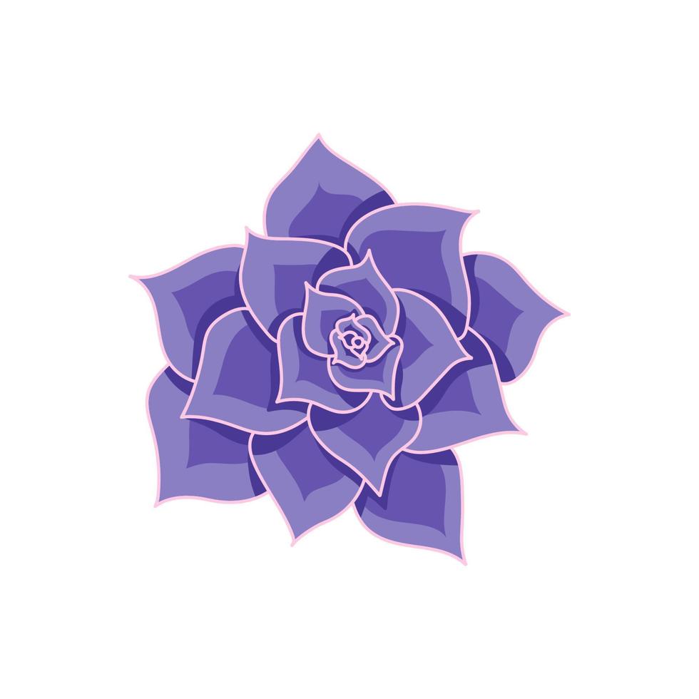 sappige echeveria lilacina in cartoonstijl. woestijn bloem paarse roos. kamerplant voor print en design. vectorillustratie, geïsoleerd element op witte bakcground vector