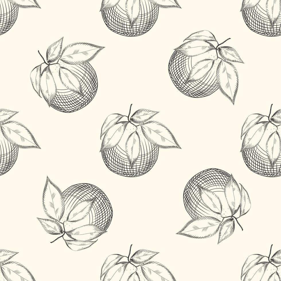 oranje fruit schets naadloos geklets. exotisch tropisch fruit. vector