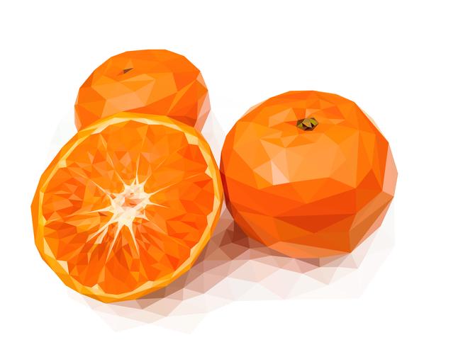 Oranje, een van de Chinese, veelbelovende vruchten vector