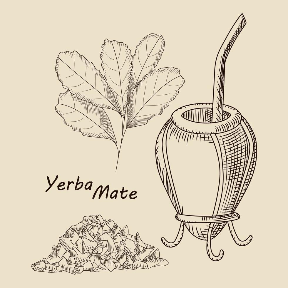 concept van kalebas en bombilla voor geïsoleerde yerba mate-drank vector