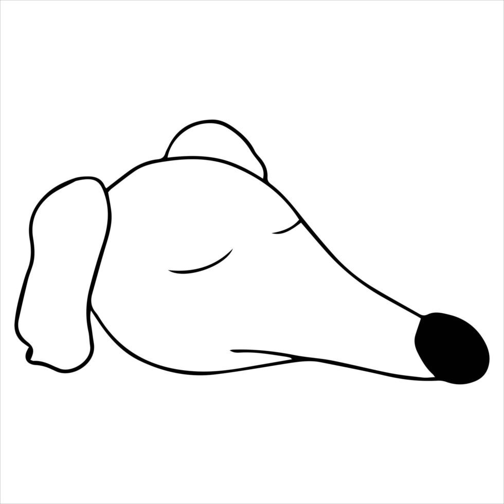 vector portret van een jachthond windhonden in doodle cartoon stijl. russisch borzoi-ras. huisdier illustratie in lijn kunststijl
