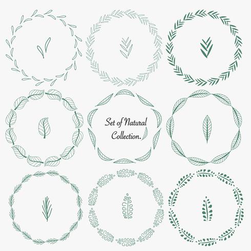 Set van hand getrokken ronde frames voor decoratie. Vector natuurlijke collectie.