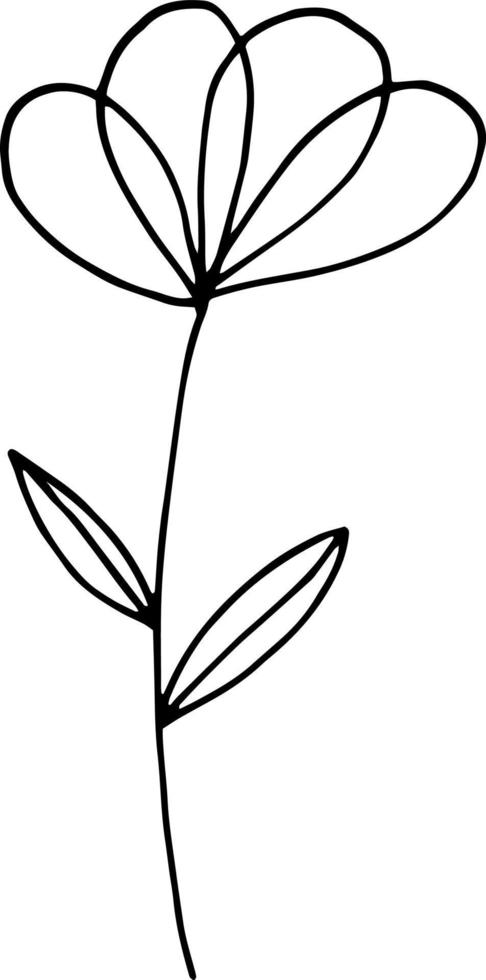 abstracte bloem icoon. hand getrokken doodle. , scandinavisch, noords, minimalisme, zwart-wit. plant, herbarium. vector