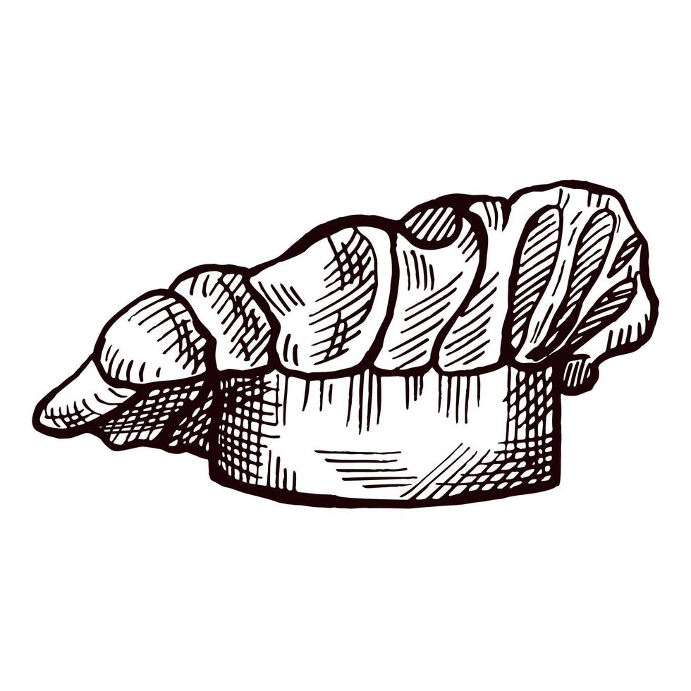 chef-kok hoed schets geïsoleerd. keuken traditioneel element voor koken in de hand getekende stijl. vector