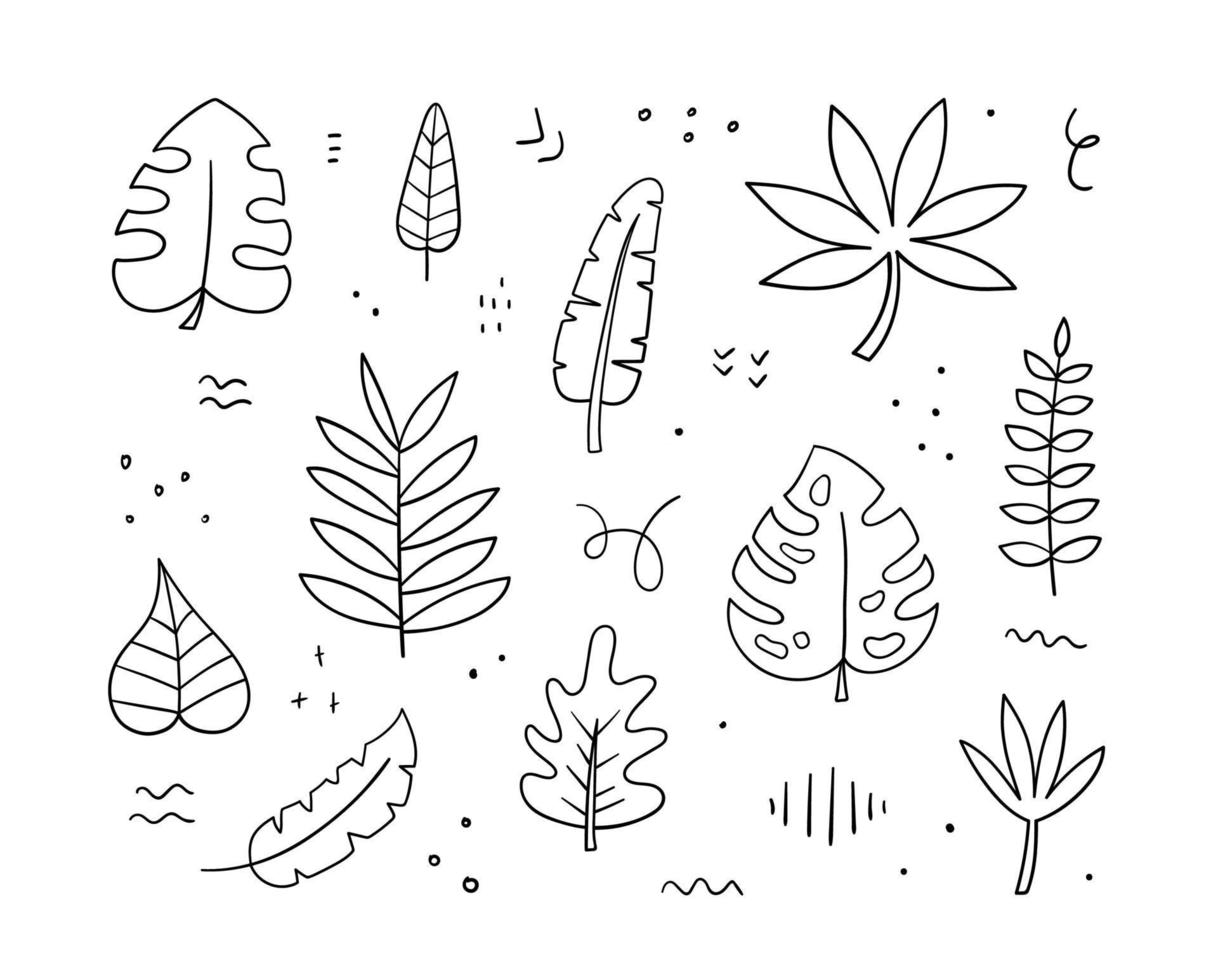 handgetekende exotische bladeren collectie. doodle schets stijl. palm, banaan, monstera, aralia bladeren. botanische lineaire ontwerpelementen. vectorillustratie. vector