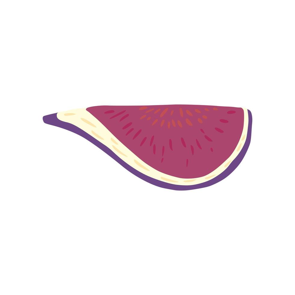 plak vijgen geïsoleerd op een witte achtergrond. schets botanisch fruit. vector