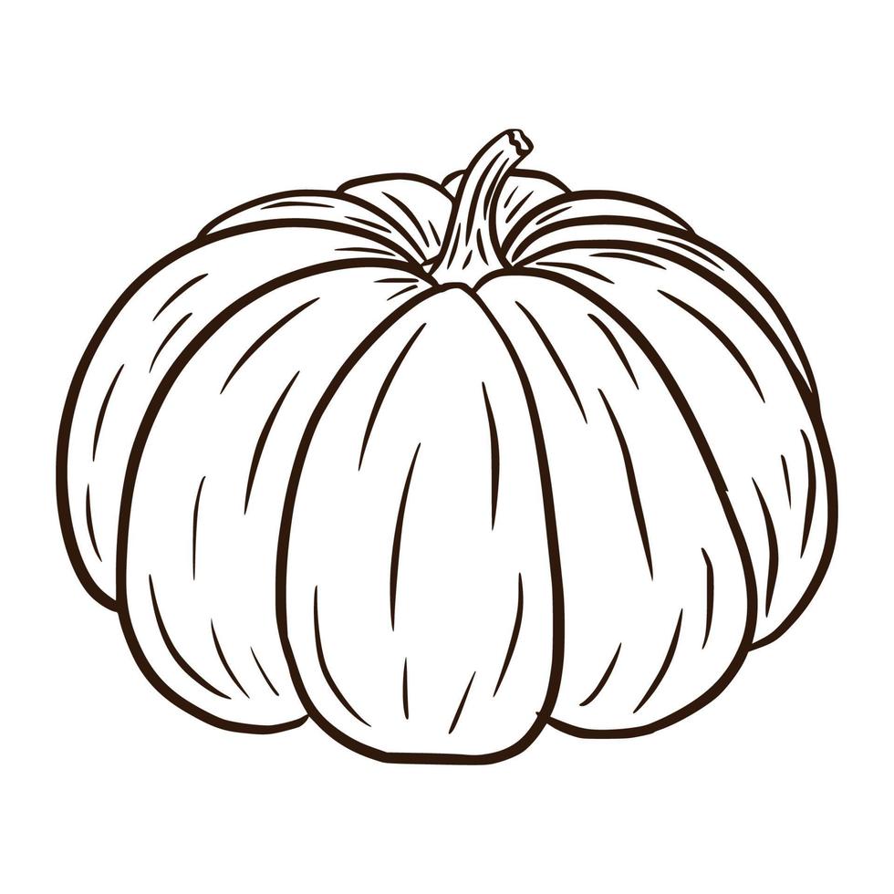 lijn kunst sprookjesachtige squash illustratie. herfst kalebas icoon. rijpe pompoen schets. cartoon-stijl. element voor herfst decoratief ontwerp, halloween-uitnodiging, oogst, sticker, print, logo, menu, recept vector