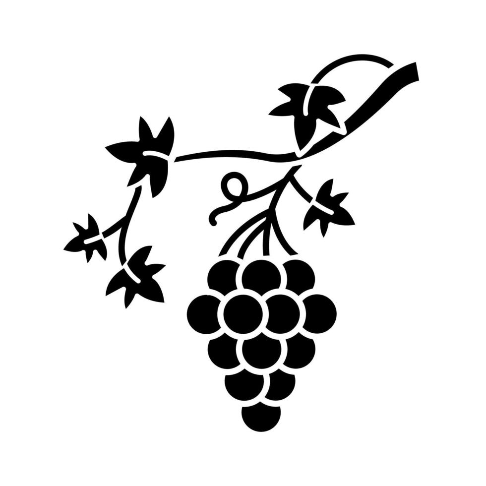 grapevine glyph pictogram. borstel van druiven op tak. wijnbouw, wijnbereiding. symbool van rijkdom, overvloed, welvaart en vruchtbaarheid. silhouet symbool. negatieve ruimte. vector geïsoleerde illustratie