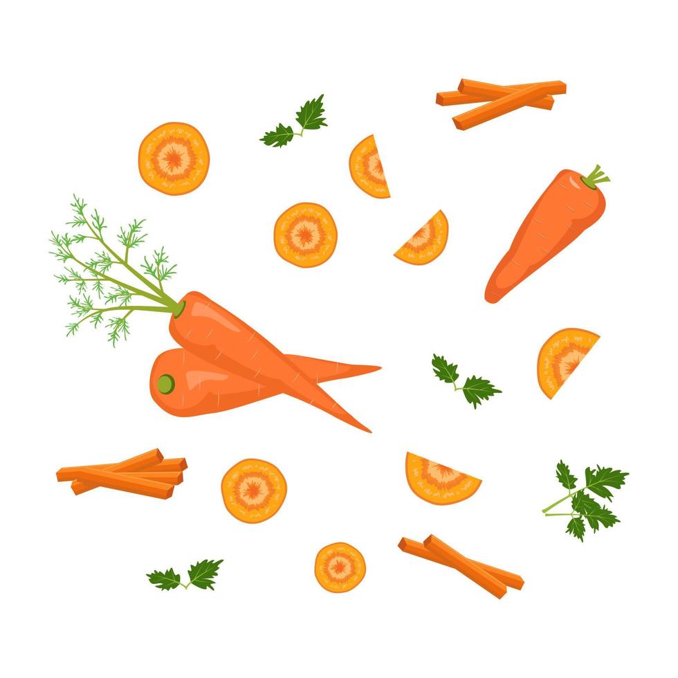 set van wortel pictogram. gezonde voeding, oranje hele groente, in cirkels gesneden, plakjes, delen en stokken en peterseliebladeren. bron van vitamine a. platte vectorillustratie vector