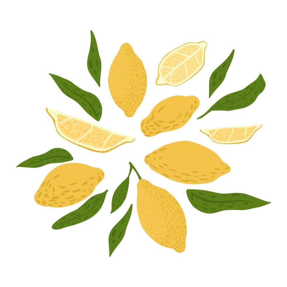 samenstelling van citroen en gebladerte op witte achtergrond. abstracte botanische schets hand getrokken in stijl doodle. vector