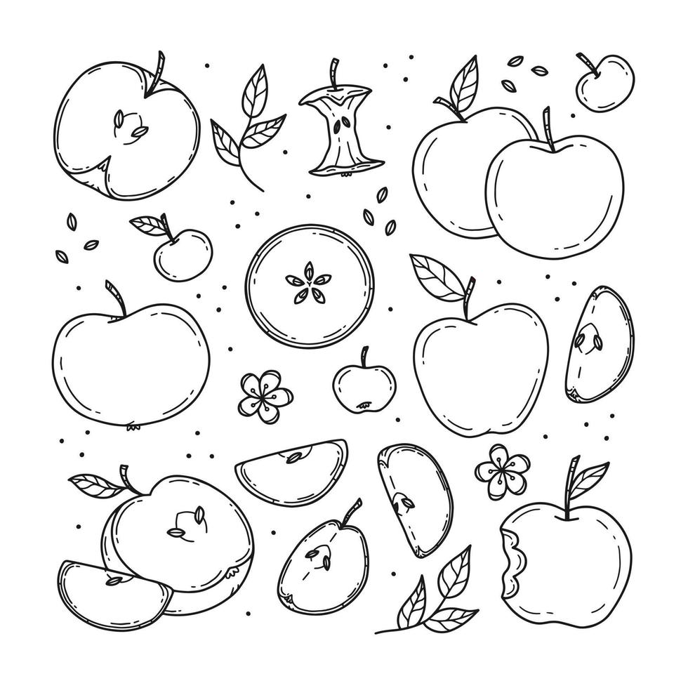 set van kleurloze verschillende appels en appelschijfjes in doodle stijl. lijn vectorillustratie geïsoleerd op de achtergrond. vector