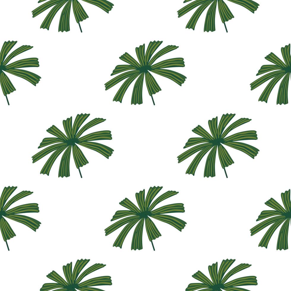 geïsoleerde botanische naadloze patroon met groene palm licuala sieraad. witte achtergrond. eenvoudige stijl. vector