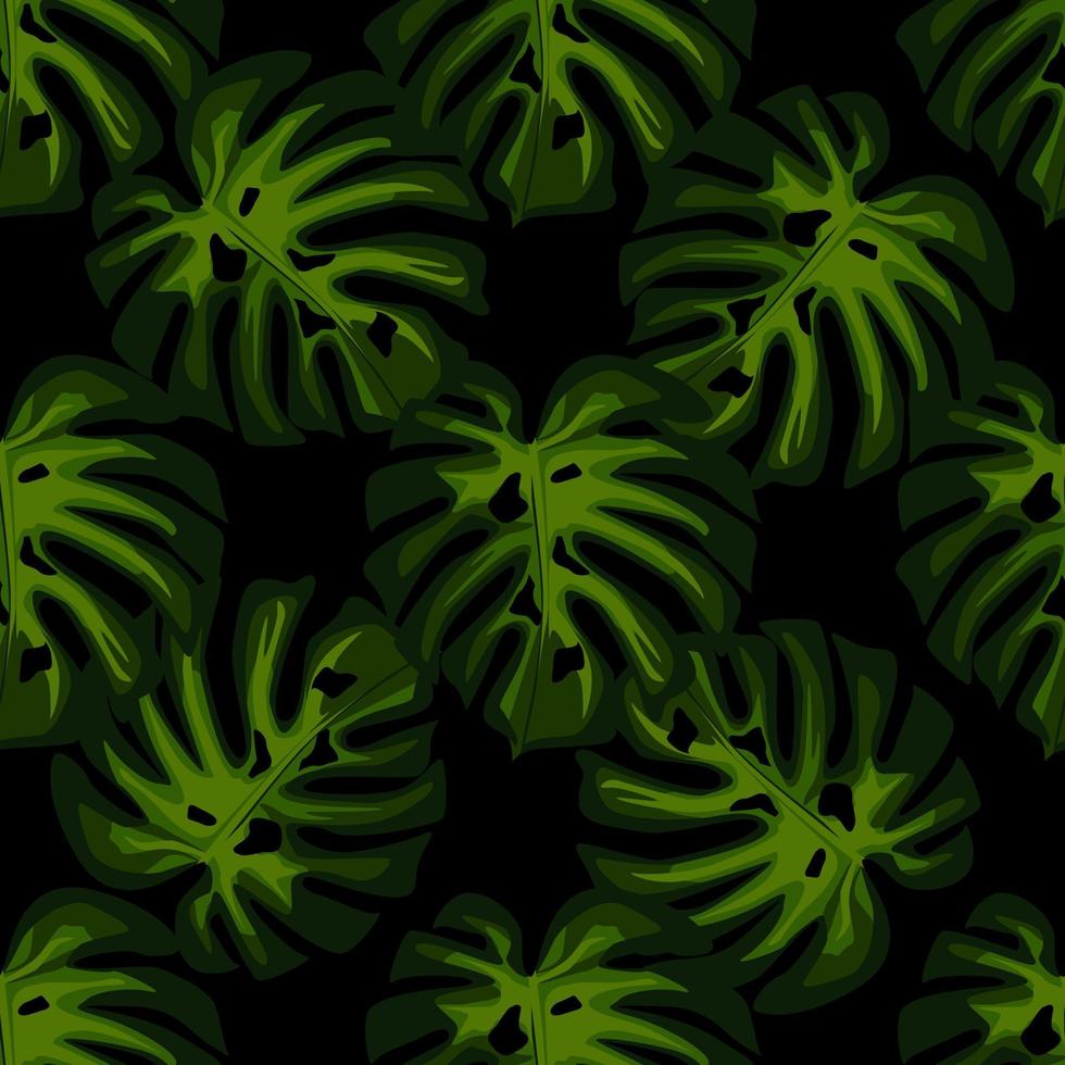 groene bladeren monstera naadloze patroon op zwarte achtergrond. vector