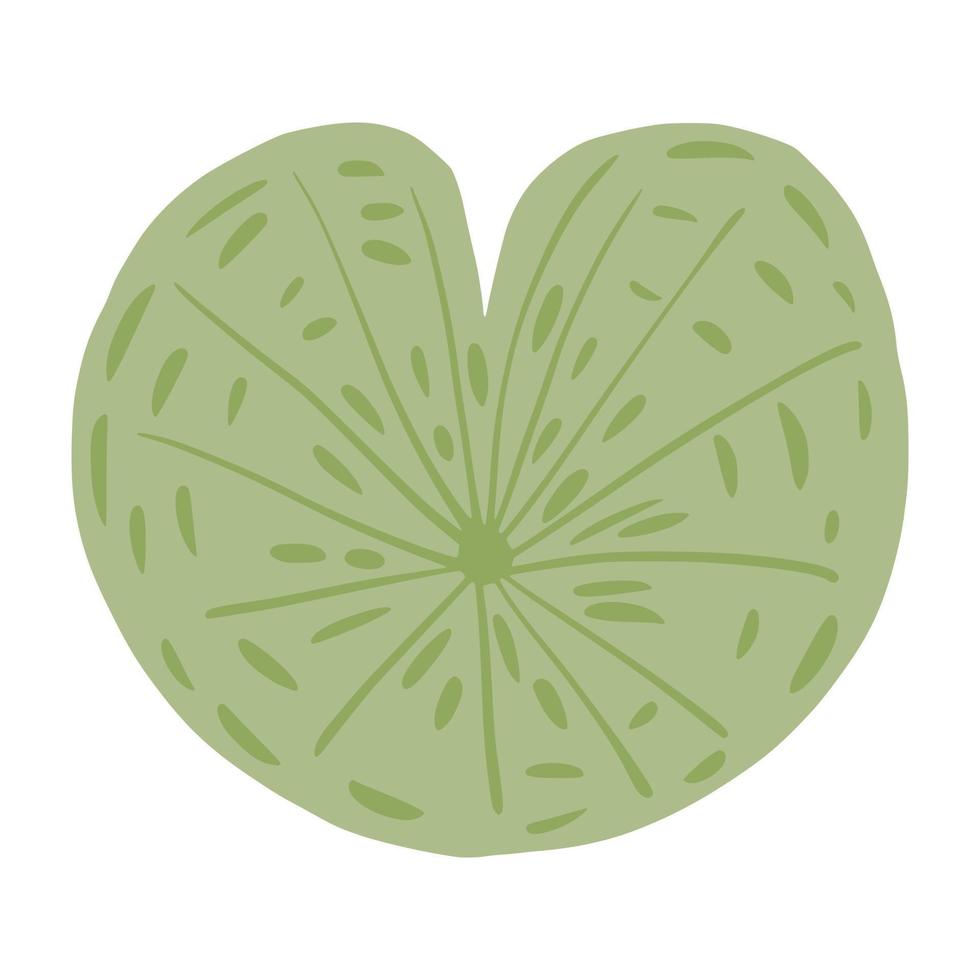 groen lotusblad geïsoleerd op een witte achtergrond. abstracte schets botanische bloesem in doodle stijl. vector