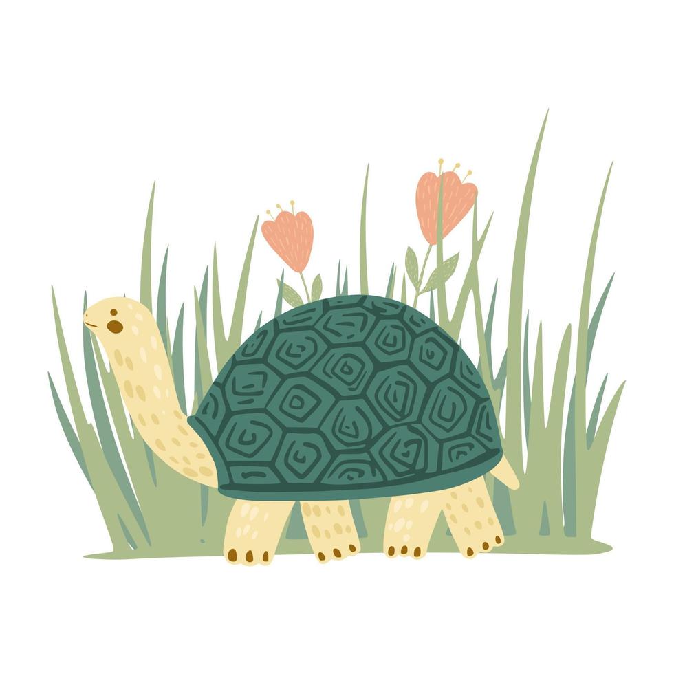 samenstelling schildpad met gras en bloemen geïsoleerd op een witte achtergrond. schattige stripfiguur schildpad. vector