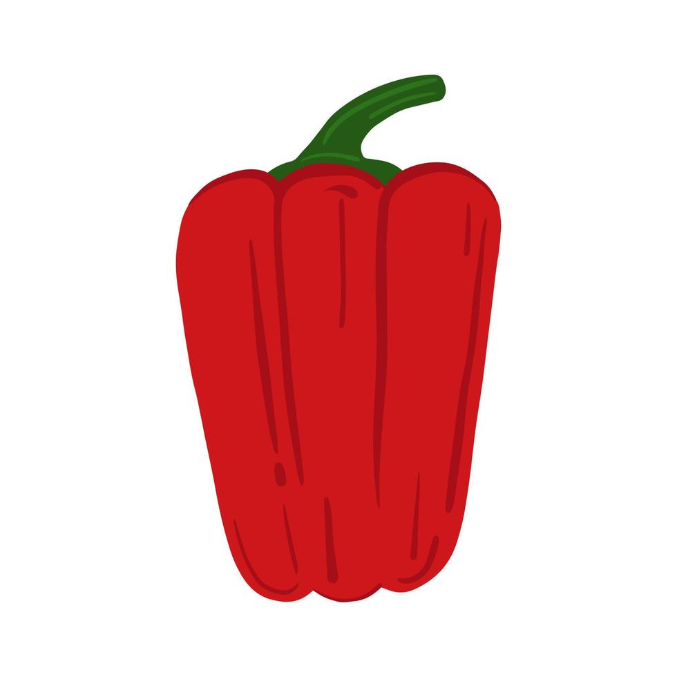 paprika geïsoleerd op een witte achtergrond. hand getekende rode paprika groente. vector