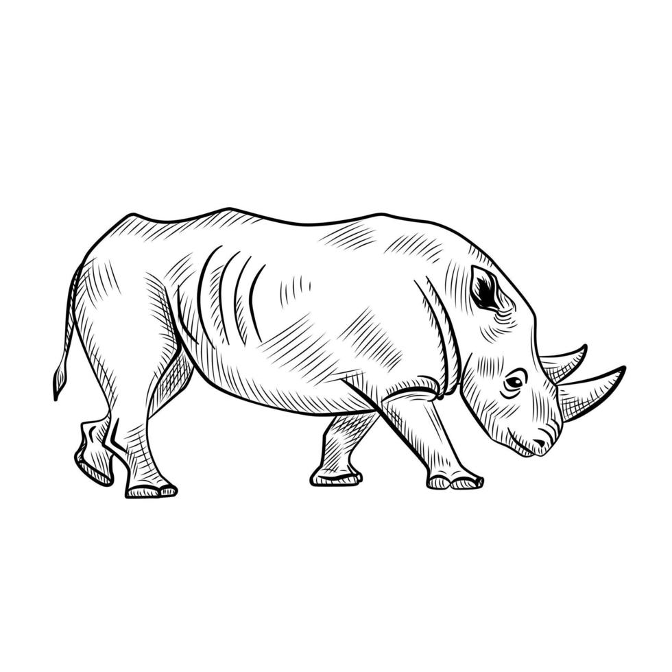 neushoorn geïsoleerd op een witte achtergrond. schets grafisch dier met hoorn savanne in graveerstijl. vector