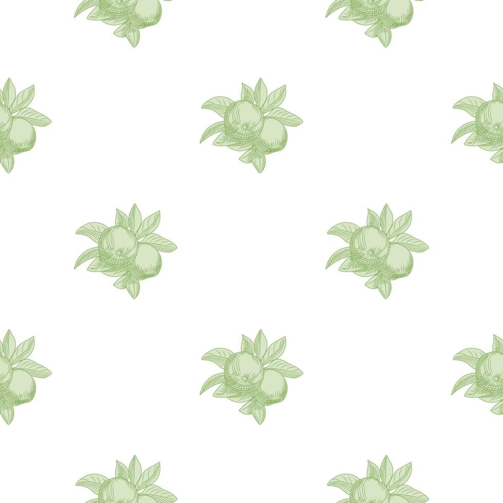 groene appels naadloze patroon op witte achtergrond. vintage botanisch behang. vector