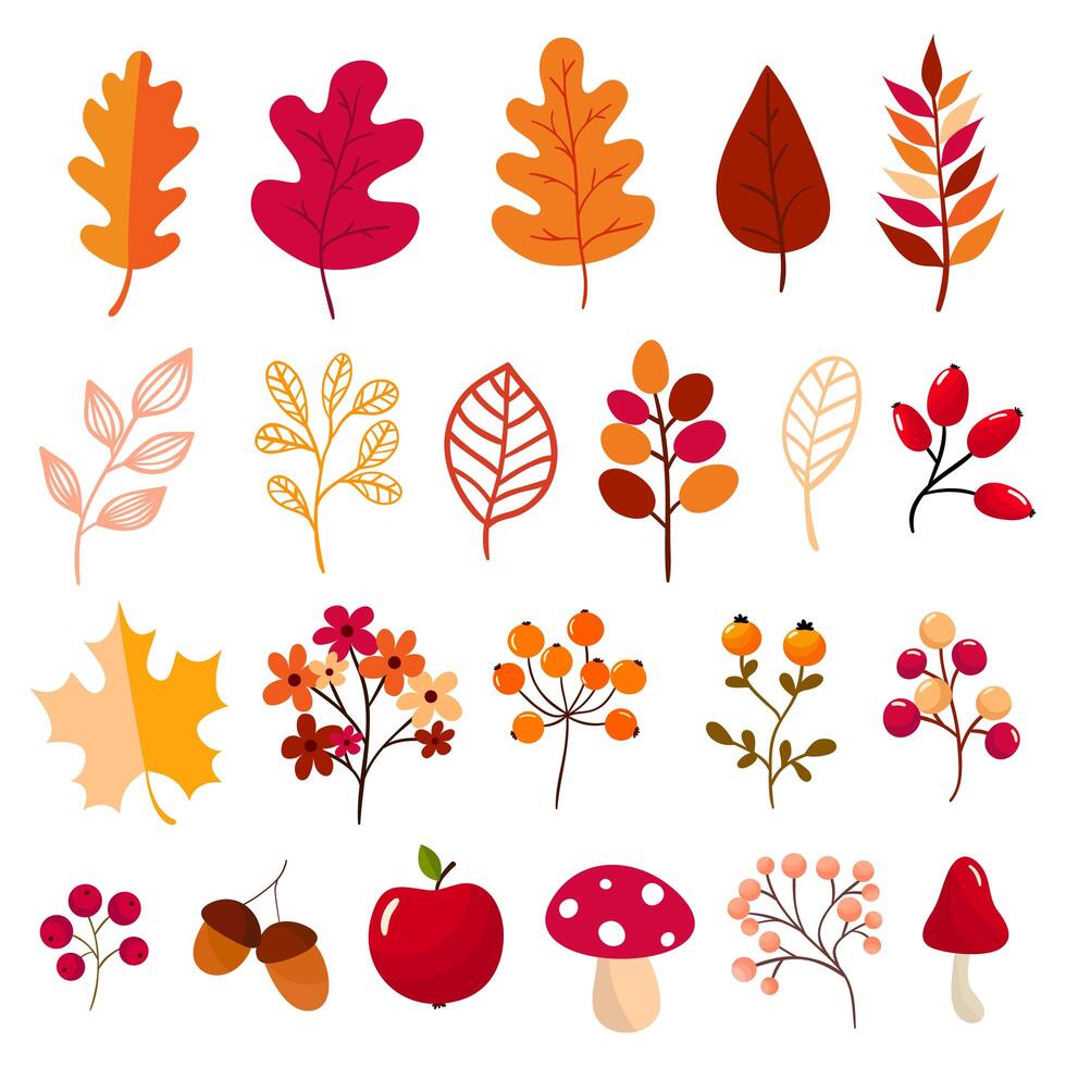 Herfst elementen collectie vector