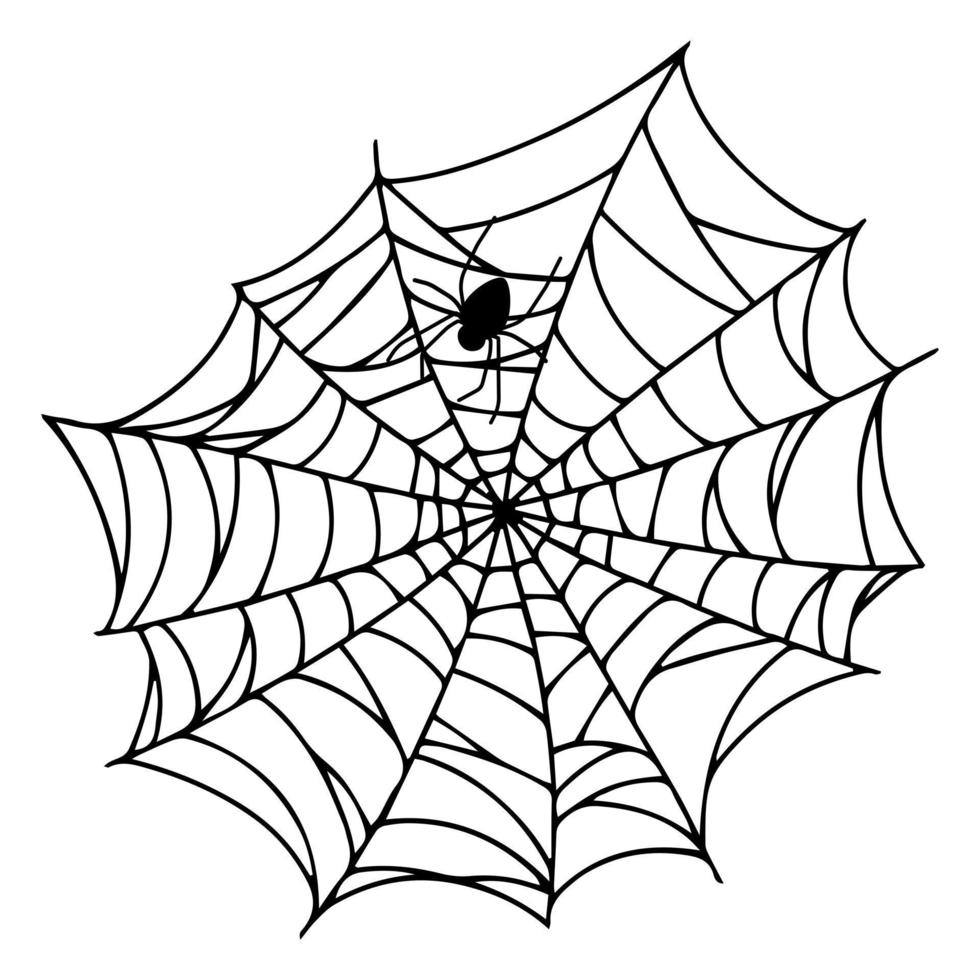 spinnenweb geïsoleerd op een witte achtergrond. spookachtige spinnenwebben met spinnen. vector