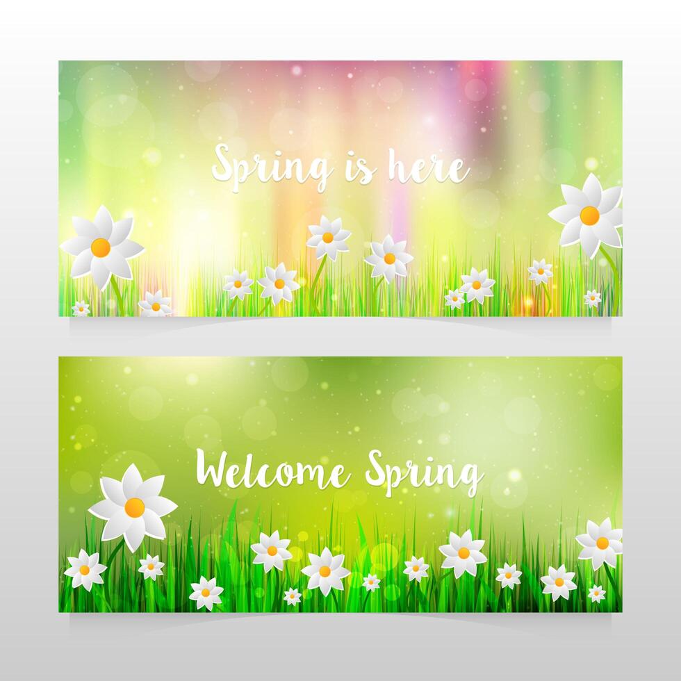 Lente banners met gras en witte bloemen vector