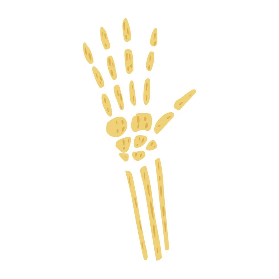 skelet pols geïsoleerd op een witte achtergrond. eenvoudige arm van bot schets hand getrokken in stijl doodle. vector