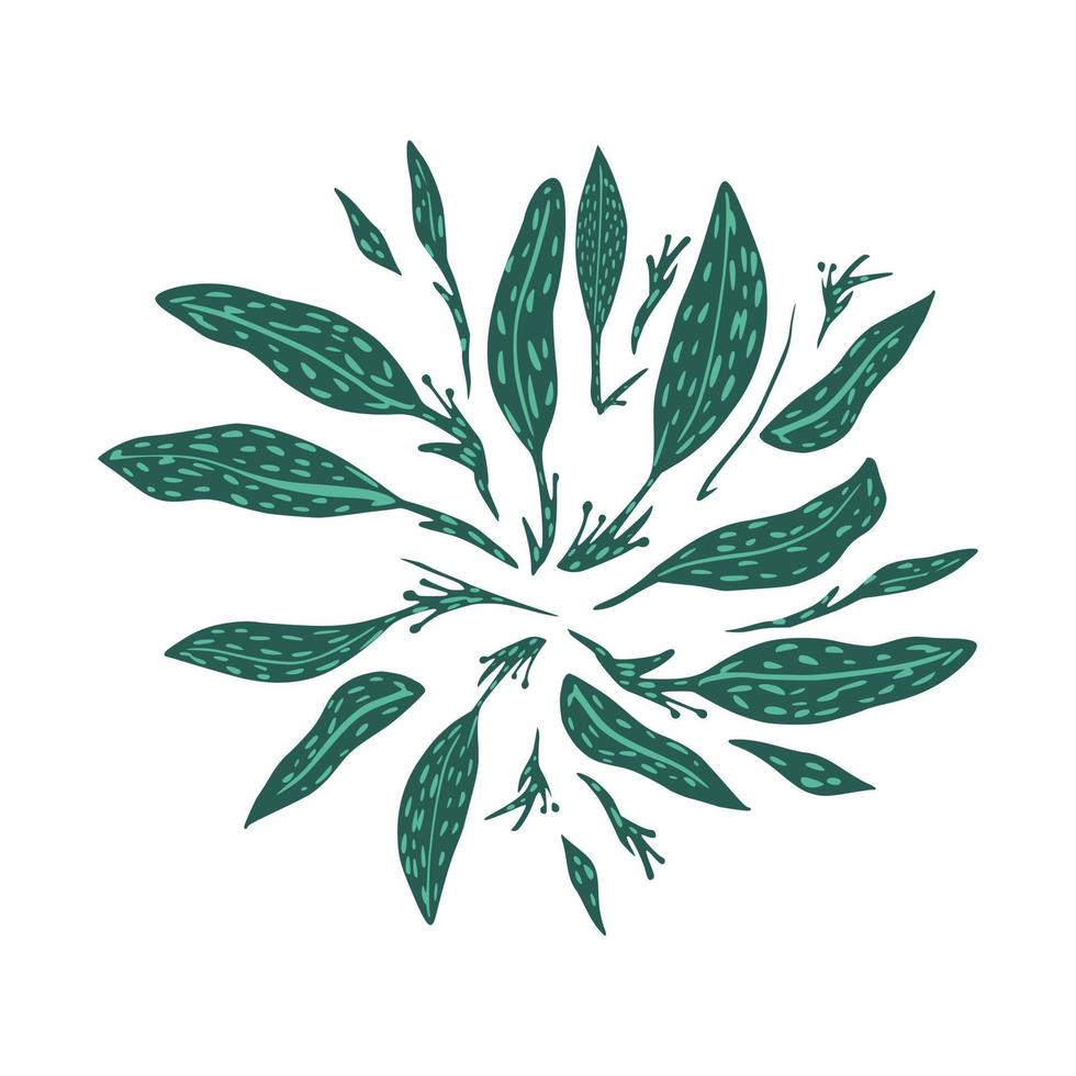 samenstelling van twijgen en gebladerte op een witte achtergrond. abstracte botanische schets hand getrokken in stijl doodle. vector