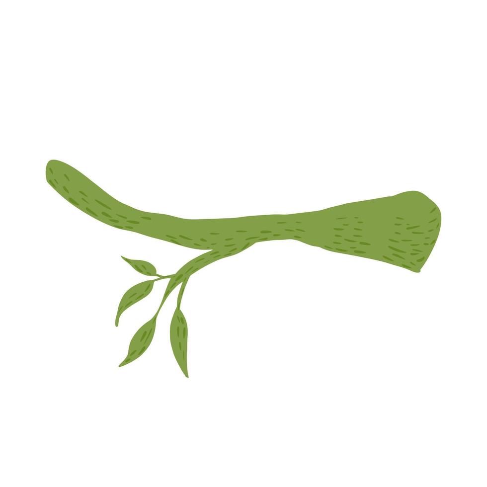 groene takje met bladeren geïsoleerd op een witte achtergrond. abstracte grafisch element hand getekende natuur. vector