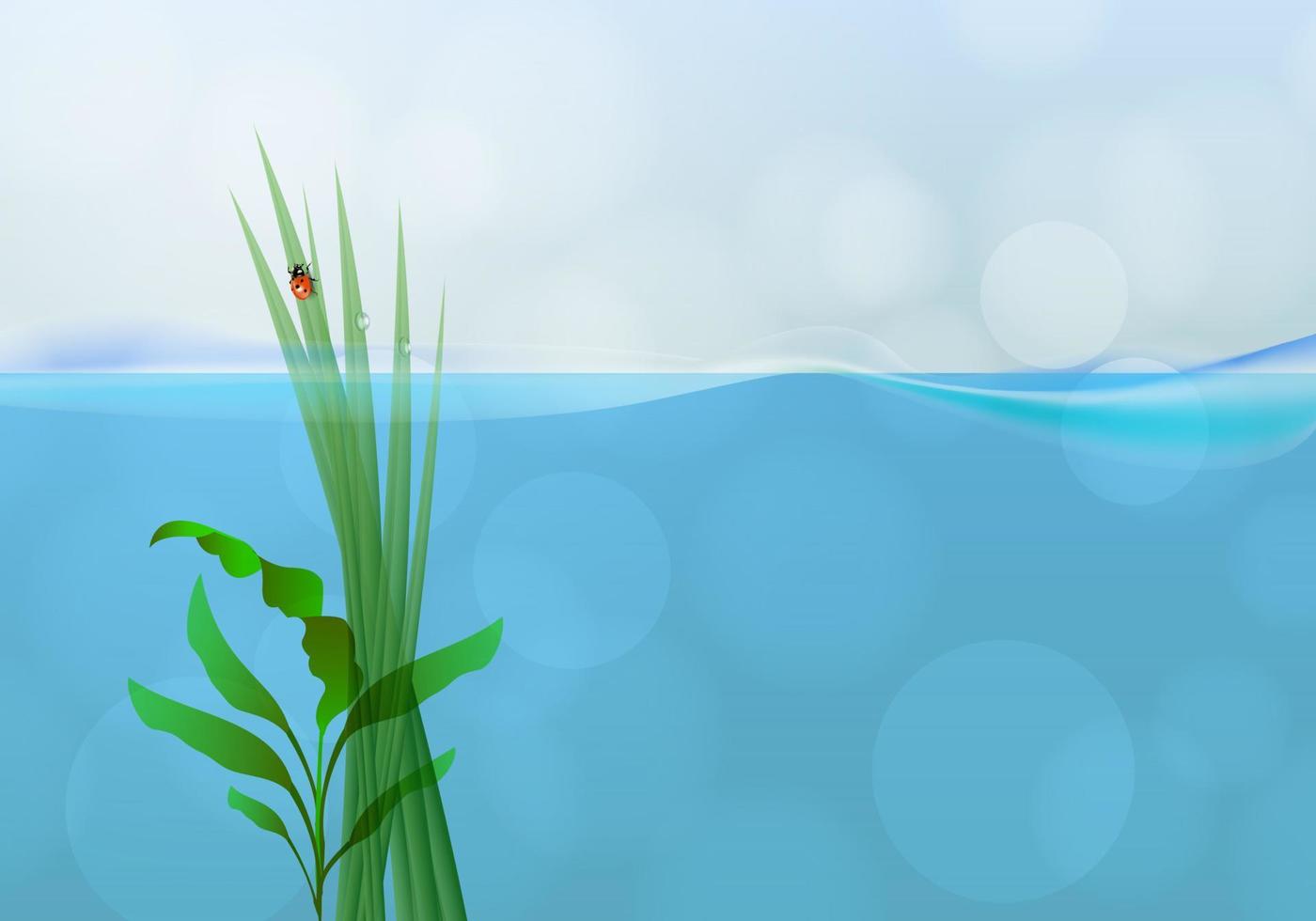 het gras kwam uit het water vector