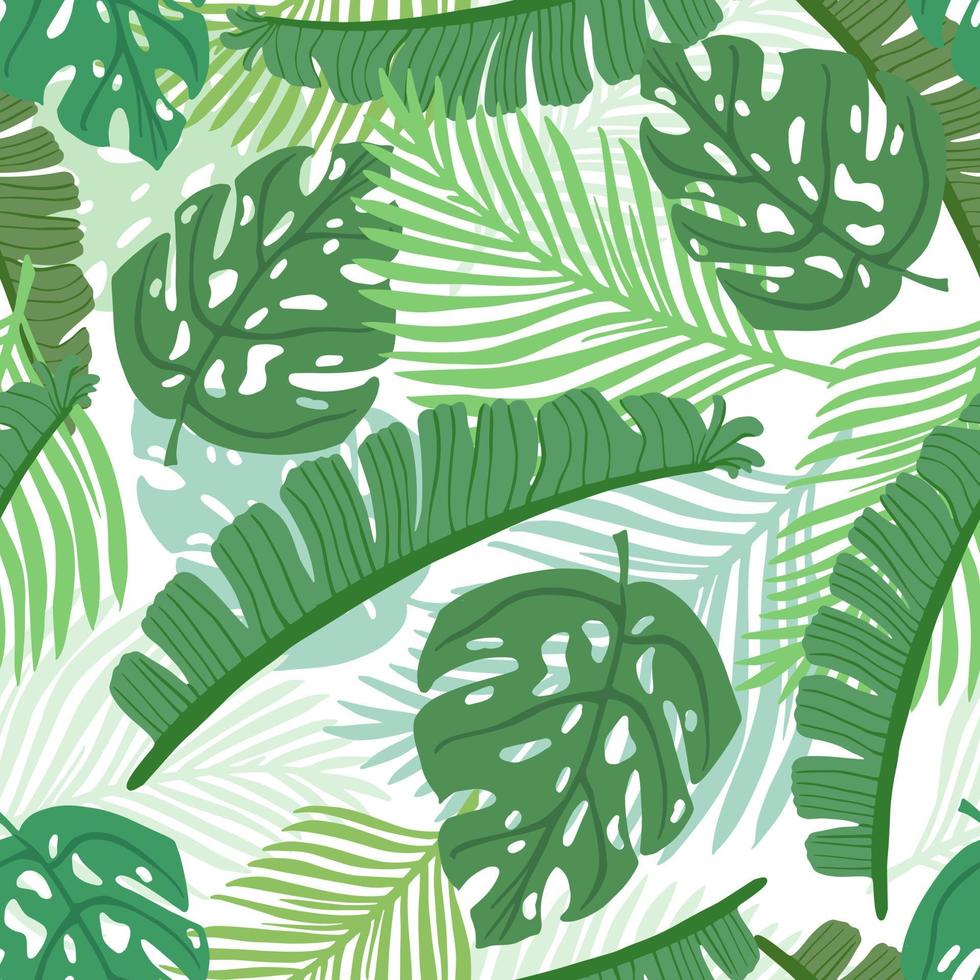 tropische naadloze patroon op witte achtergrond. abstracte textuurdecoratie met bladmonstera, palm en banaan in groene kleur. mode van de zomer natuur jungle om af te drukken. vector