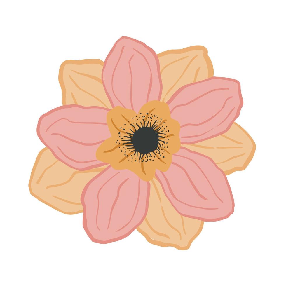 mooie anemoon close-up geïsoleerd op een witte achtergrond. lentebloem roze in doodle-stijl voor elk doel. vector