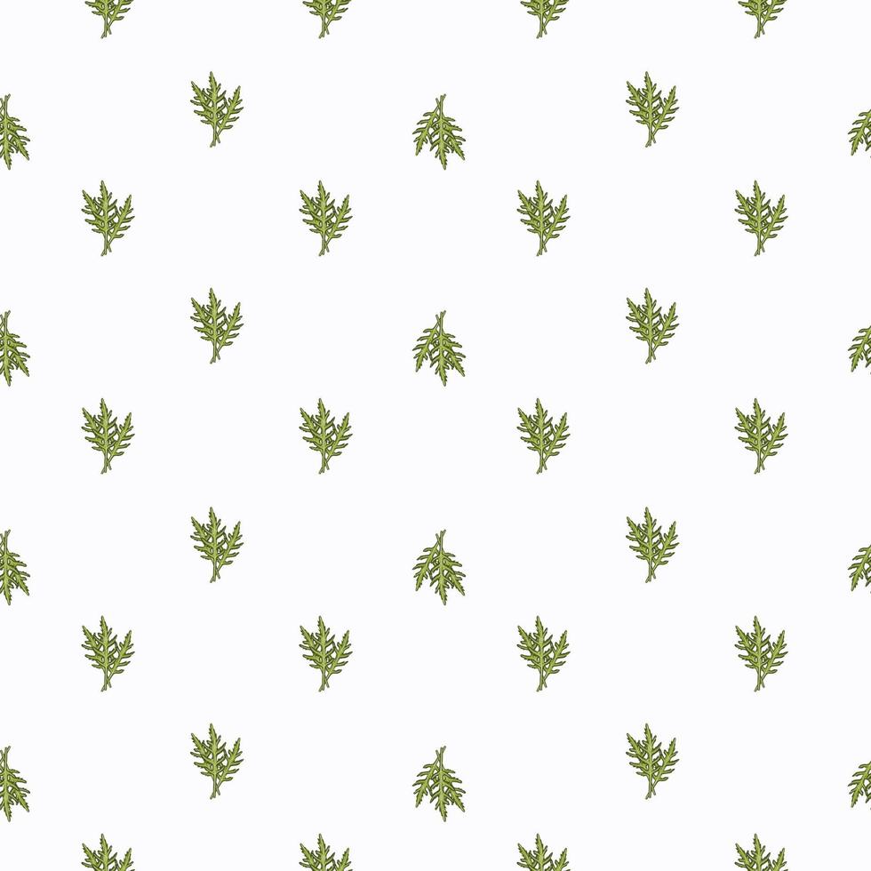 naadloze patroon bos rucola salade op witte achtergrond. minimalistisch ornament met sla. vector