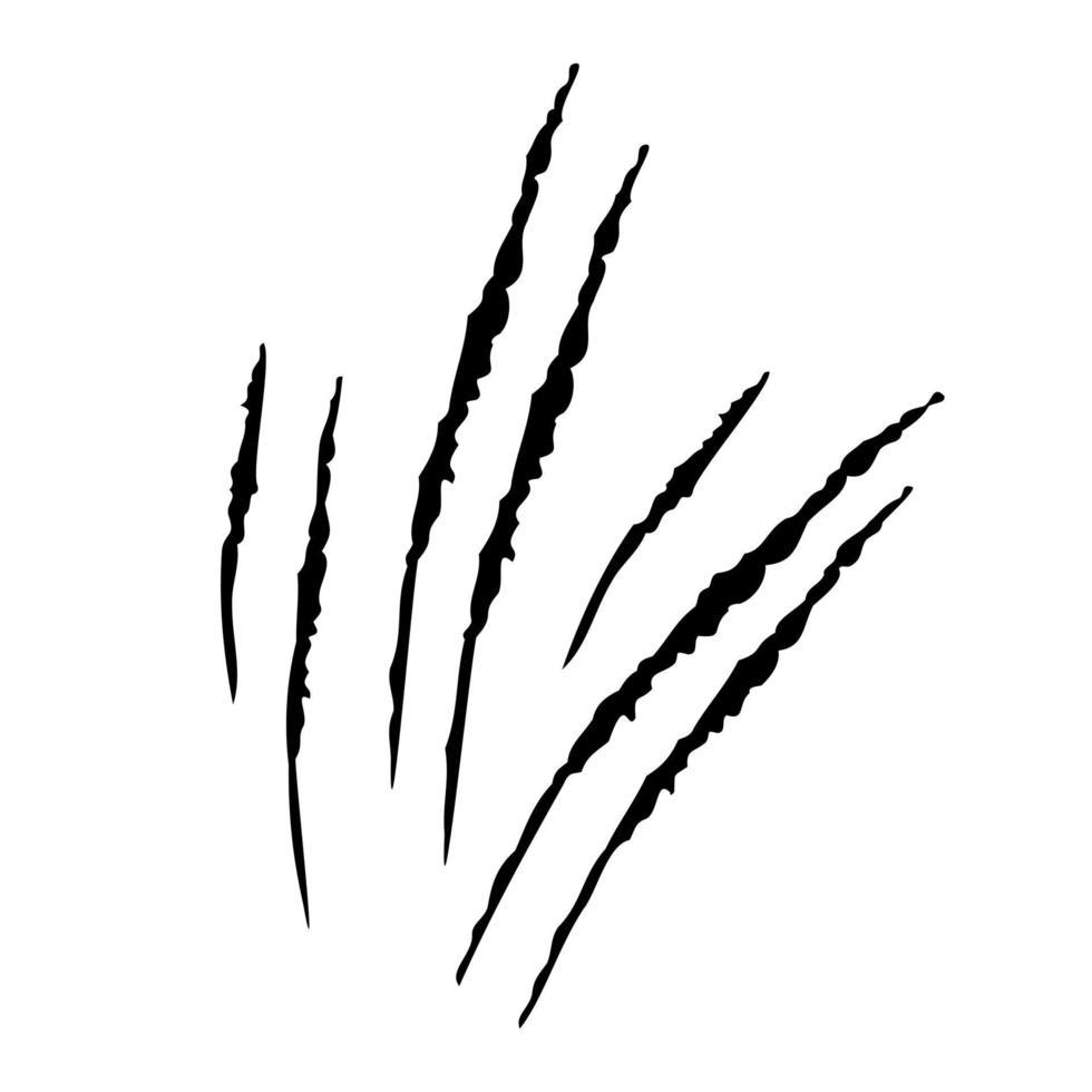klauwen krassen pictogram geïsoleerd op een witte achtergrond. verschillende vormen van inkepingen van wilde dieren. vector