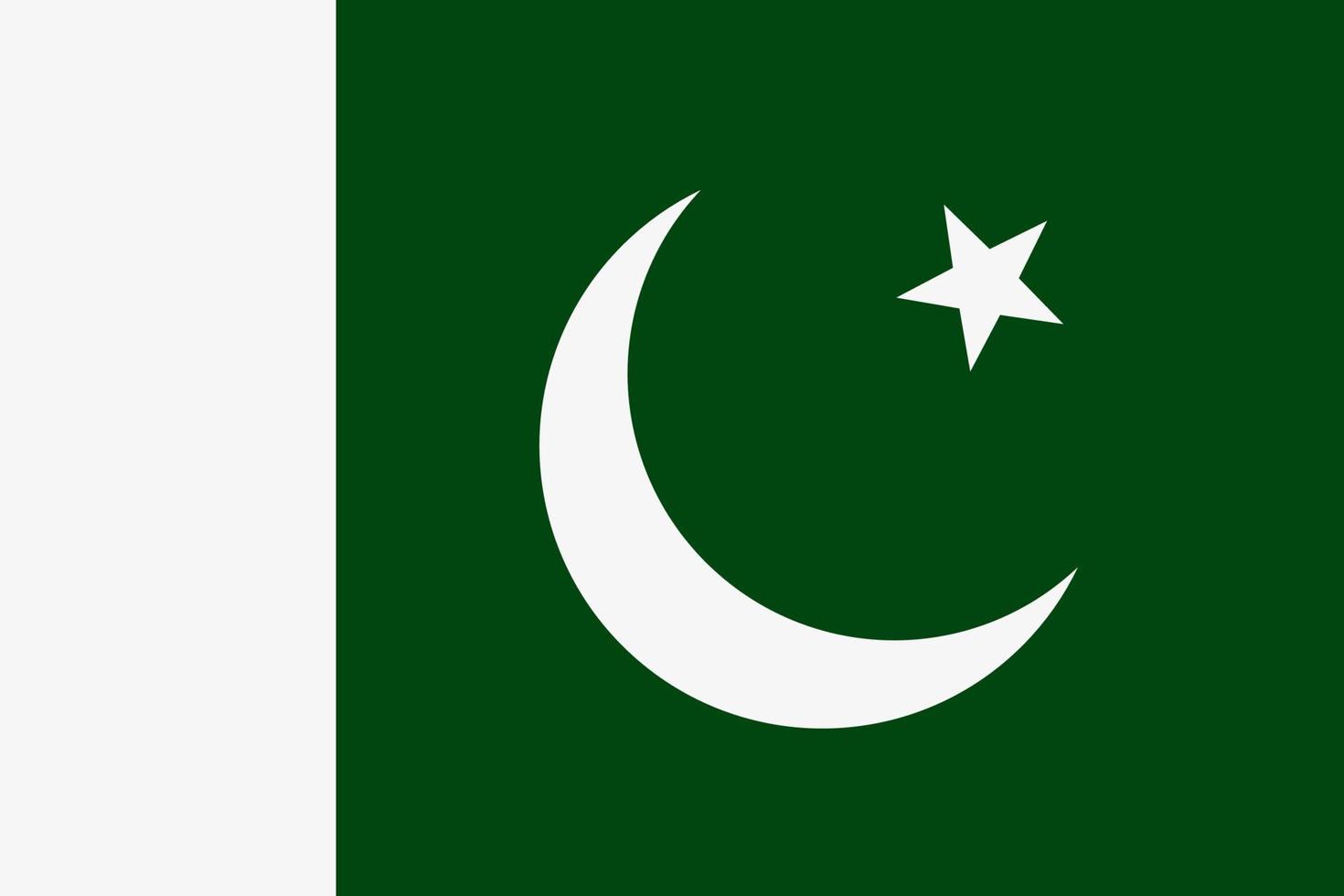 Pakistaanse vlag vector pictogram. de vlag van pakistan