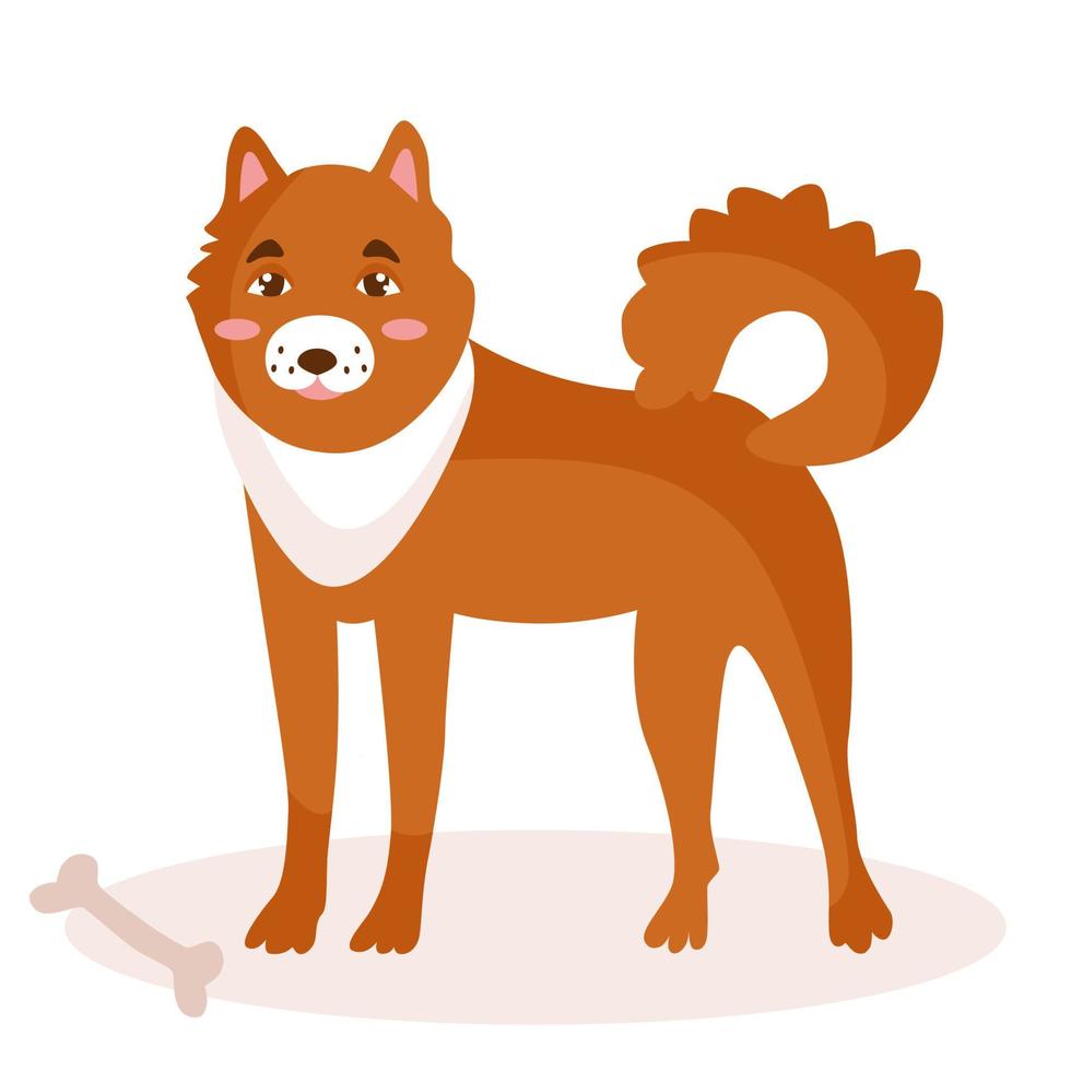 een hond van het laika-ras, rood van kleur. ernaast ligt een lekkernij, een bot. vectorillustratie geïsoleerd. vector