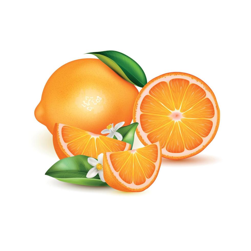 sinaasappels realistische compositie vector