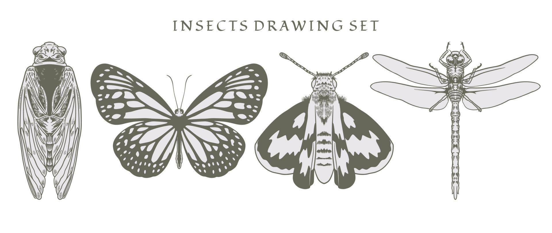 set element insecten, kever, libel en vlinders in de hand getekend vector