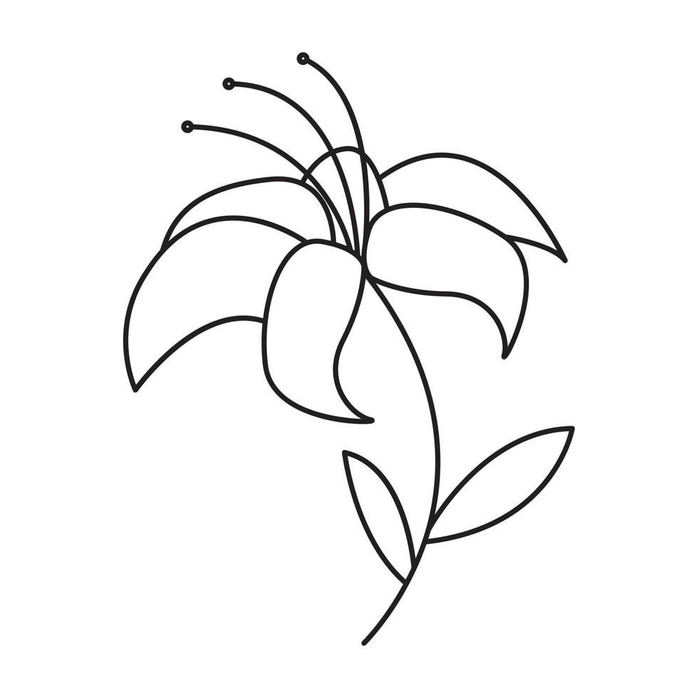 mooie lelie lijnen bloem logo symbool vector pictogram illustratie grafisch ontwerp