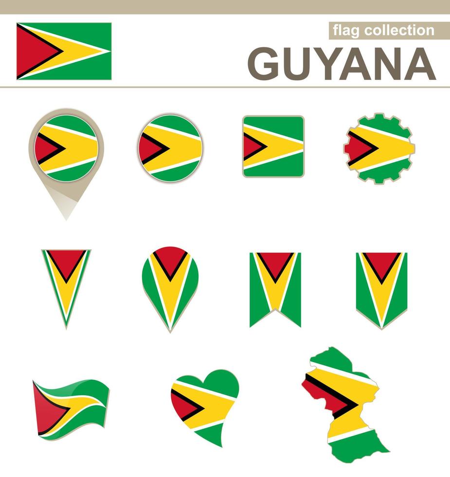 Guyana vlag collectie vector
