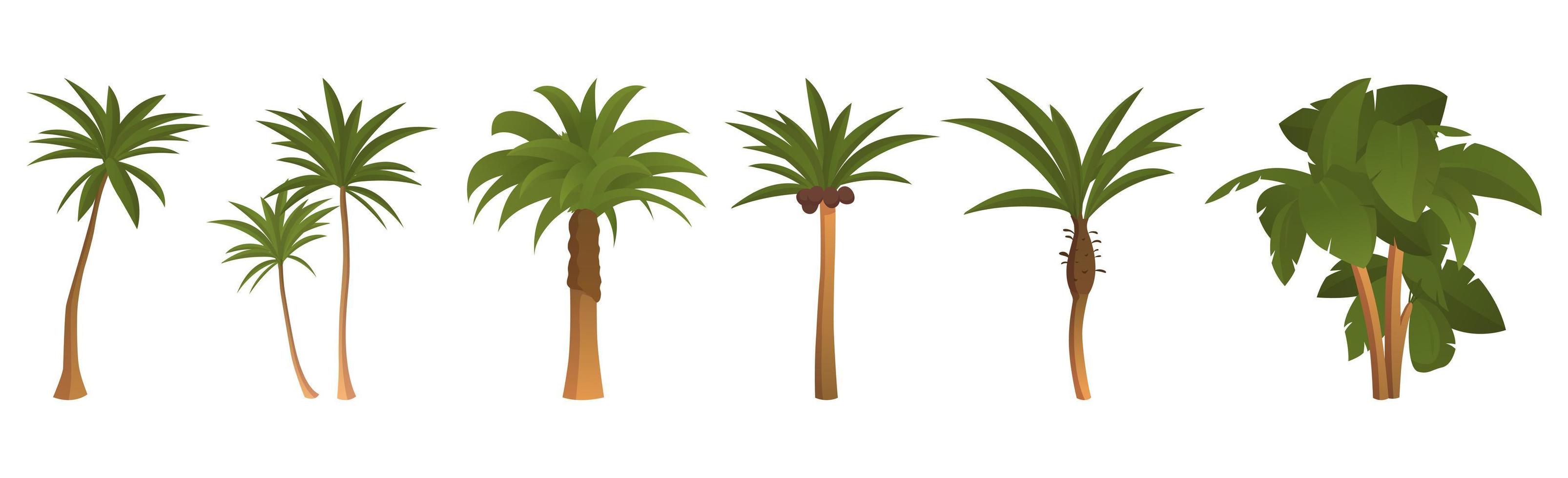 set van 6 stuks palmbomen op een witte achtergrond - vector