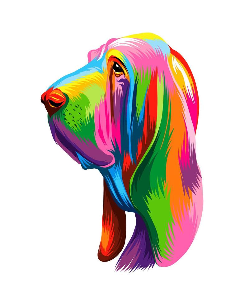 abstract basset hound hoofd portret, bloedhond hoofd portret van veelkleurige verven. gekleurde tekening. puppy snuit portret, hond snuit. vectorillustratie van verf vector