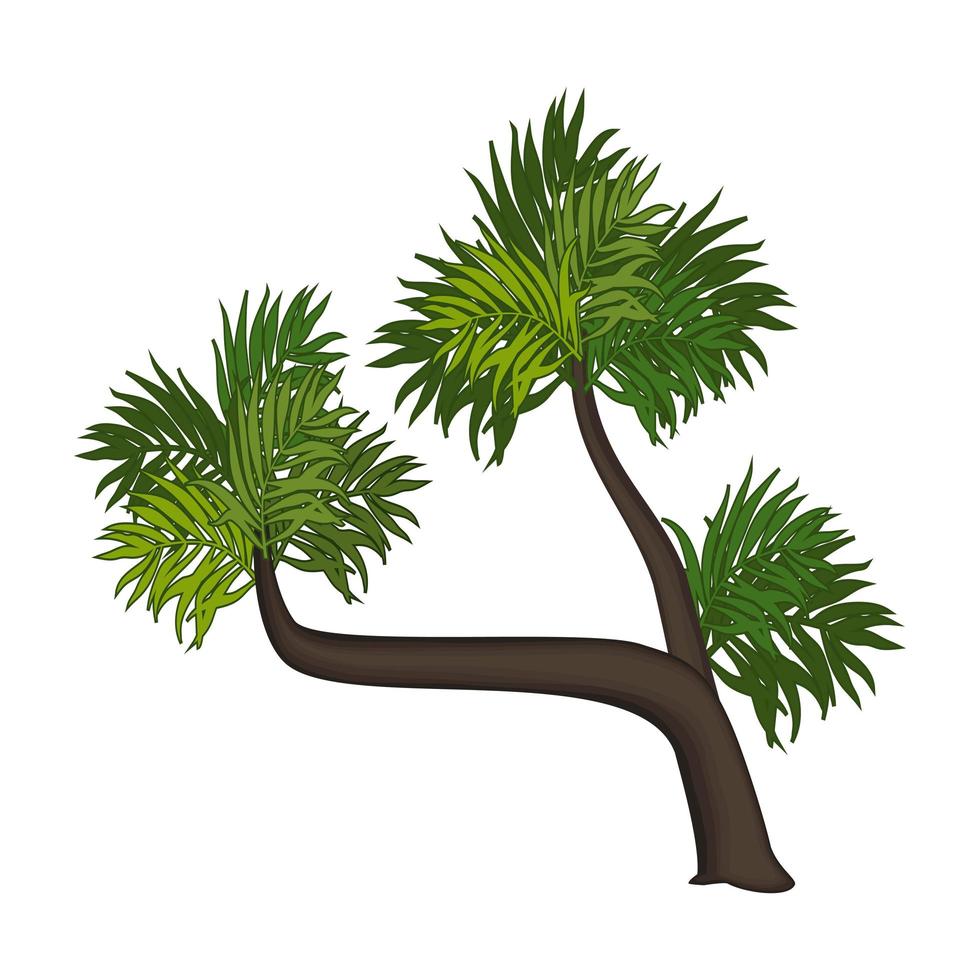 realistische groene palm geïsoleerd op een witte achtergrond - vector